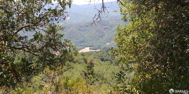 1 Poli Rd, Gilroy, CA 95020 - photo 5