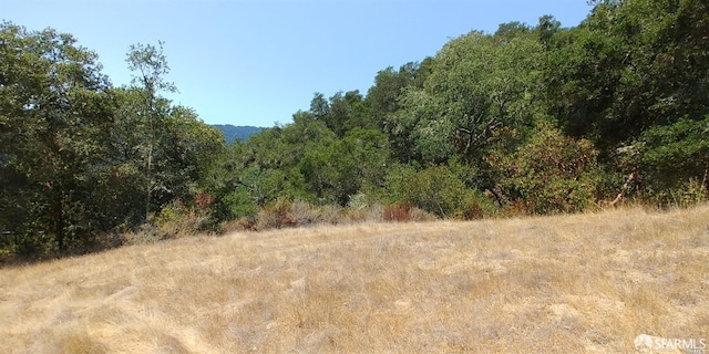 1 Poli Rd, Gilroy, CA 95020 - photo 12