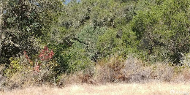 1 Poli Rd, Gilroy, CA 95020 - photo 6
