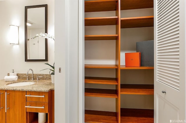 interior space with wood-type flooring and vanity