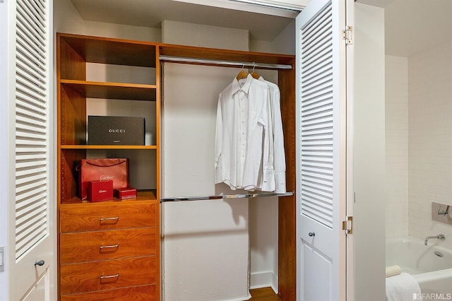 view of closet