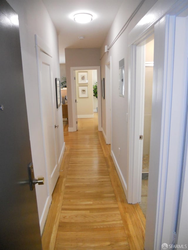 700 12th Ave Unit 2, San Francisco, CA 94118 - corridor featuring light wood finished floors and baseboards