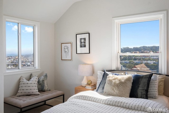 bedroom featuring lofted ceiling and multiple windows