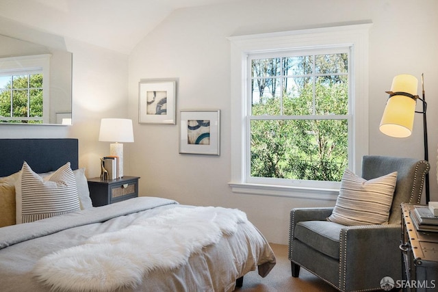 carpeted bedroom featuring multiple windows and vaulted ceiling