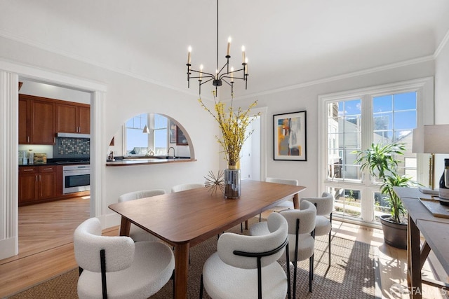 dining space featuring light wood-style flooring, a wealth of natural light, and crown molding