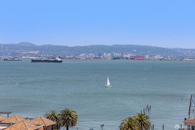 229 Brannan St Unit 10A, San Francisco, CA 94107 - photo 24