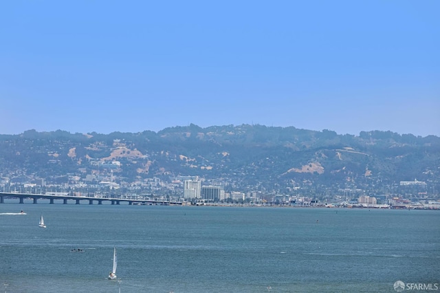 229 Brannan St Unit 10A, San Francisco, CA 94107 - photo 23