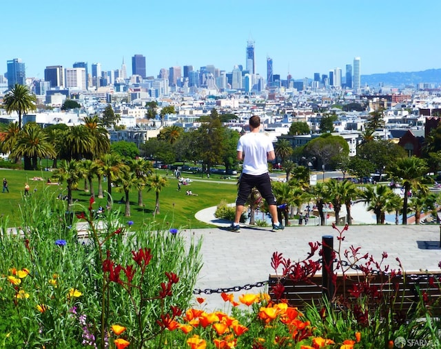 1829 15th St Unit 1, San Francisco, CA 94103 - view of home's community featuring a view of city