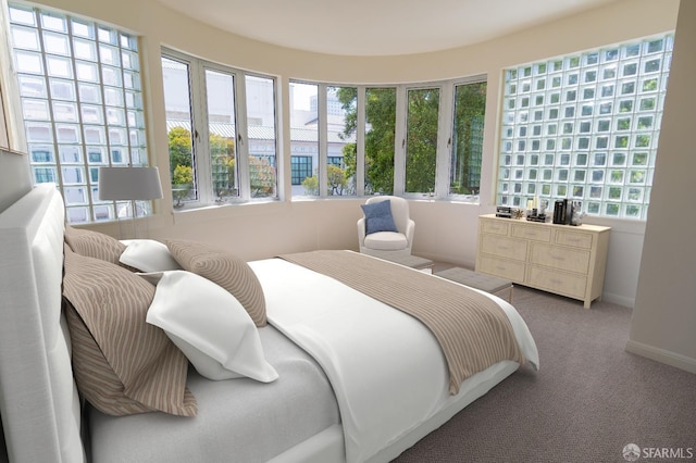 bedroom with multiple windows, baseboards, and carpet floors