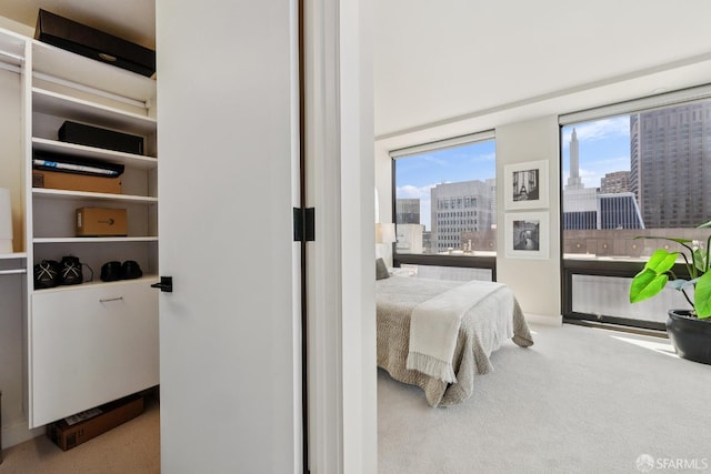 611 Washington St Unit 2505, San Francisco, CA 94111 - bedroom featuring carpet and a city view