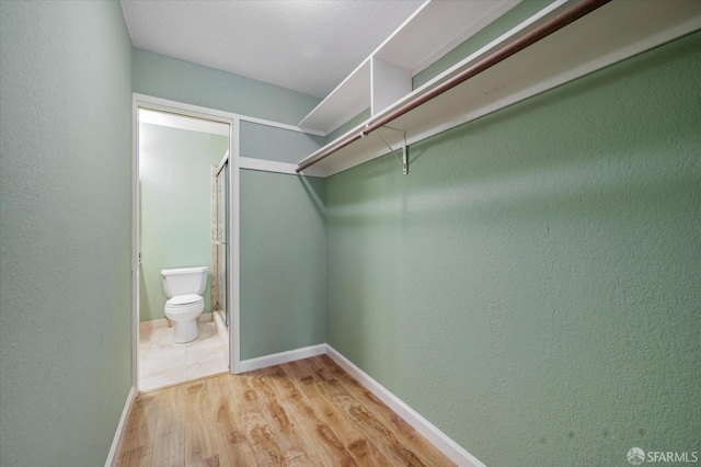 spacious closet featuring light hardwood / wood-style floors