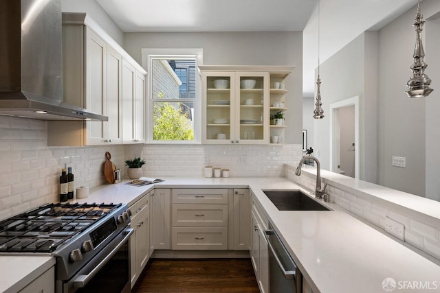 3790 Cesar Chavez St, San Francisco, CA 94110 - kitchen with wall chimney exhaust hood, stainless steel appliances, a sink, and backsplash