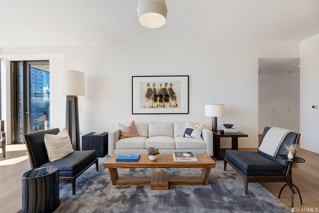 living room featuring wood-type flooring