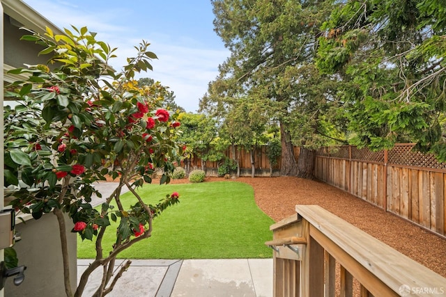 view of yard with a patio and a fenced backyard