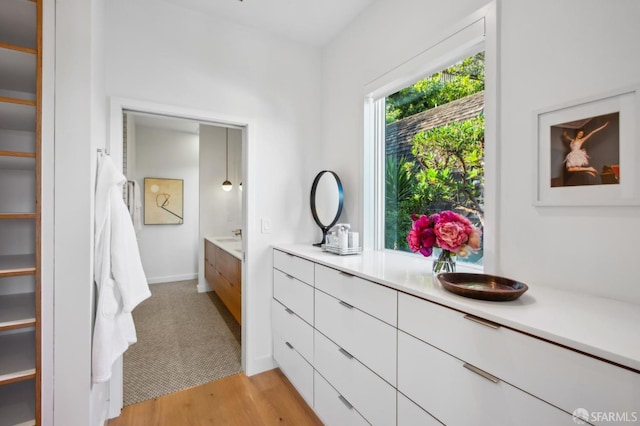 bathroom featuring hardwood / wood-style flooring and vanity