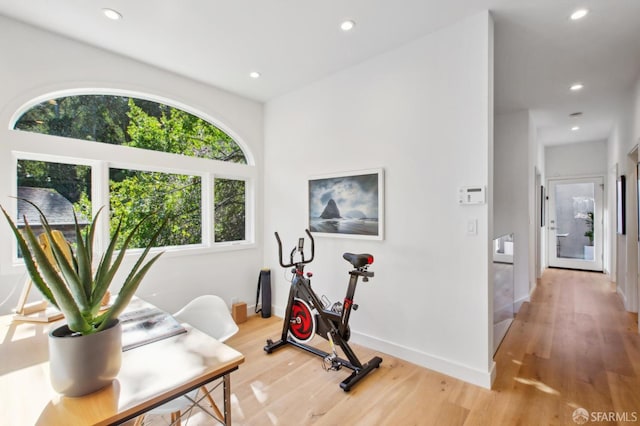 workout area with hardwood / wood-style floors