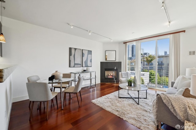 75 Moss St Unit 14, San Francisco, CA 94103 - living room featuring track lighting, wood finished floors, and a lit fireplace