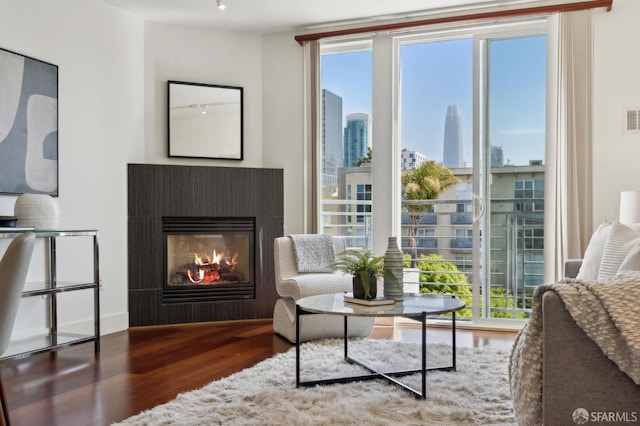 75 Moss St Unit 14, San Francisco, CA 94103 - sitting room with wood finished floors and a glass covered fireplace