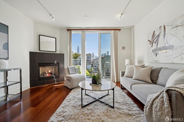 75 Moss St Unit 14, San Francisco, CA 94103 - living room with track lighting, wood finished floors, a glass covered fireplace, and a view of skyline