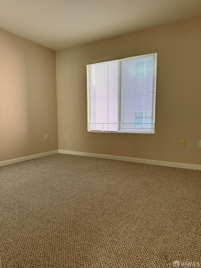 spare room featuring carpet flooring