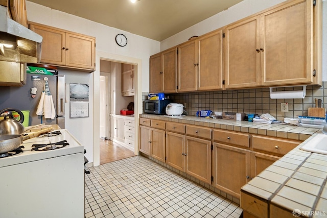 kitchen with tile countertops, tasteful backsplash, premium range hood, and stainless steel appliances