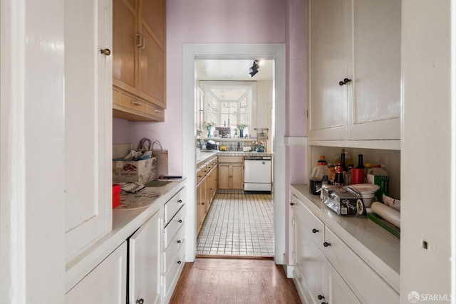 kitchen featuring light wood-style floors, dishwasher, and light countertops