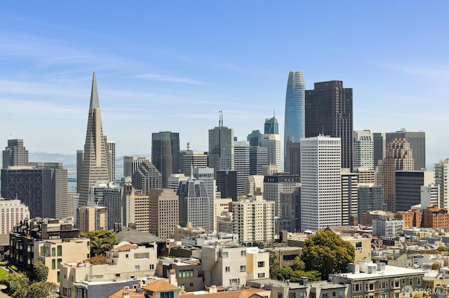 1101 Green St Unit 1402, San Francisco, CA 94109 - view of city skyline