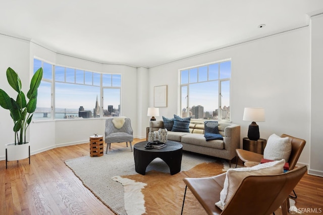1101 Green St Unit 1402, San Francisco, CA 94109 - living area featuring wood finished floors, a view of skyline, and baseboards
