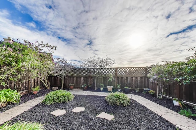 view of yard featuring a patio area