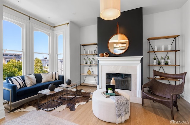 49 Hill St, San Francisco, CA 94110 - living room with wood finished floors and a premium fireplace