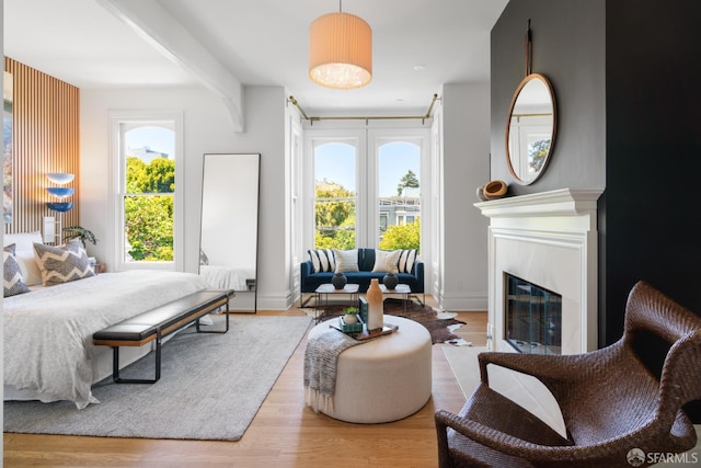 49 Hill St, San Francisco, CA 94110 - bedroom featuring a glass covered fireplace and wood finished floors
