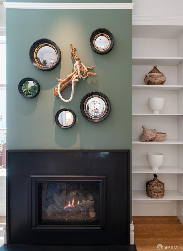 49 Hill St, San Francisco, CA 94110 - detailed view of a glass covered fireplace, built in shelves, wood finished floors, and ornamental molding