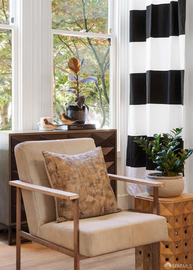 49 Hill St, San Francisco, CA 94110 - living area with wood finished floors and healthy amount of natural light