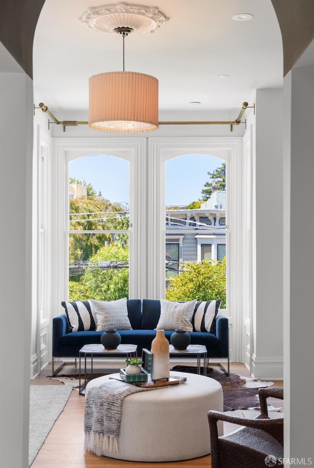 49 Hill St, San Francisco, CA 94110 - living area with plenty of natural light and light wood-type flooring