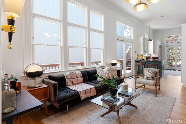 49 Hill St, San Francisco, CA 94110 - living room with wood finished floors, ornamental molding, and french doors