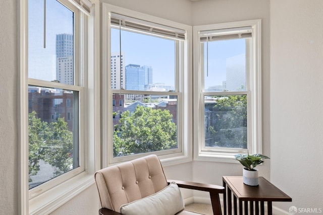 sitting room with a wealth of natural light