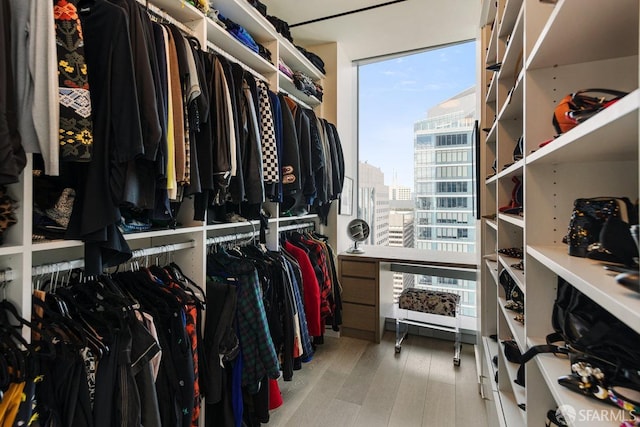 spacious closet with wood-type flooring