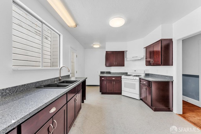 21 Hollywood Ct, San Francisco, CA 94112 - photo 19