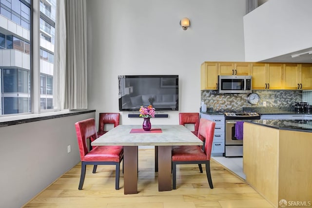 kitchen with stainless steel appliances, light wood-style floors, backsplash, and a healthy amount of sunlight