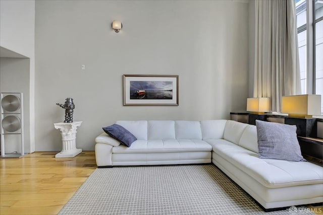 living room with wood finished floors