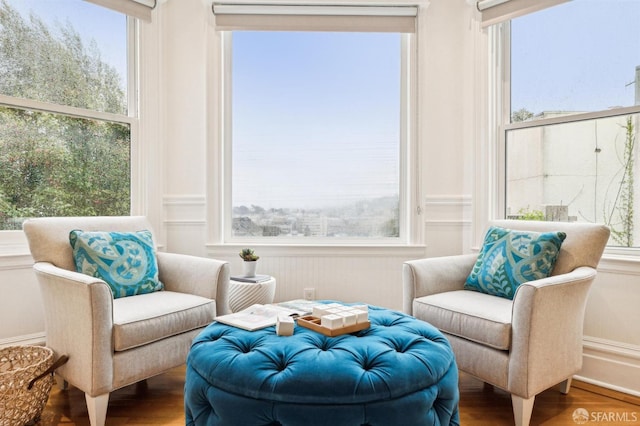 sitting room featuring plenty of natural light and wood-type flooring