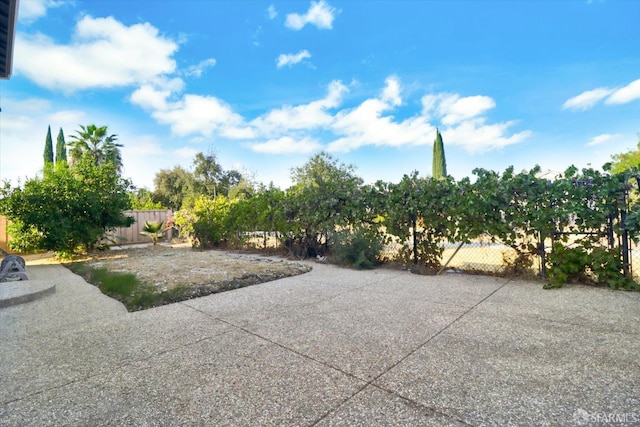 view of yard featuring a patio and fence private yard