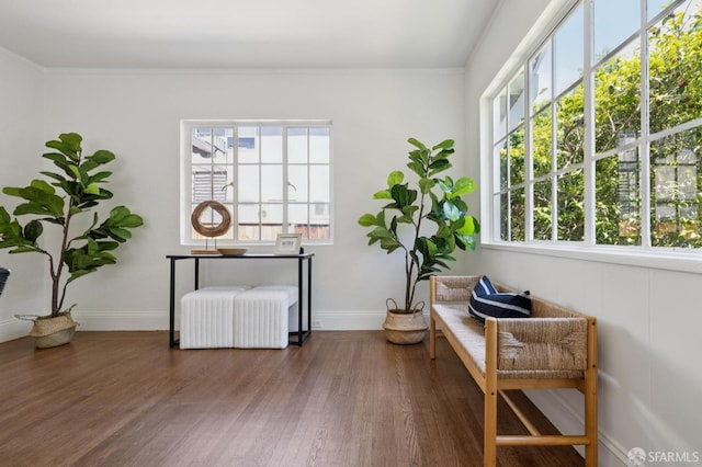 1115 Capuchino Ave, Burlingame, CA 94010 - photo 9
