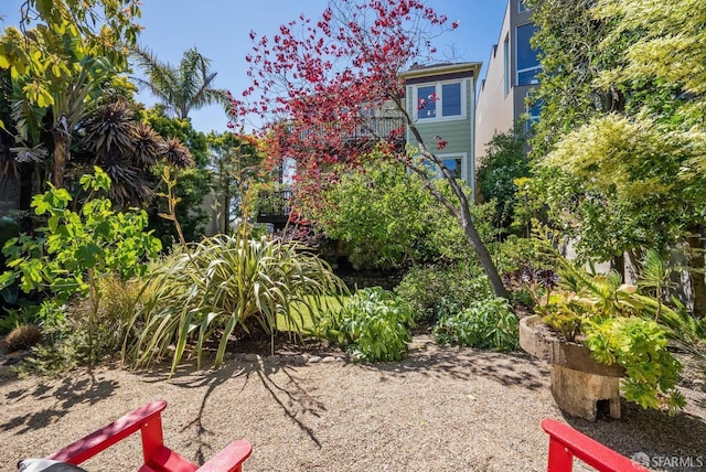 4020 20th St, San Francisco, CA 94114 - view of yard