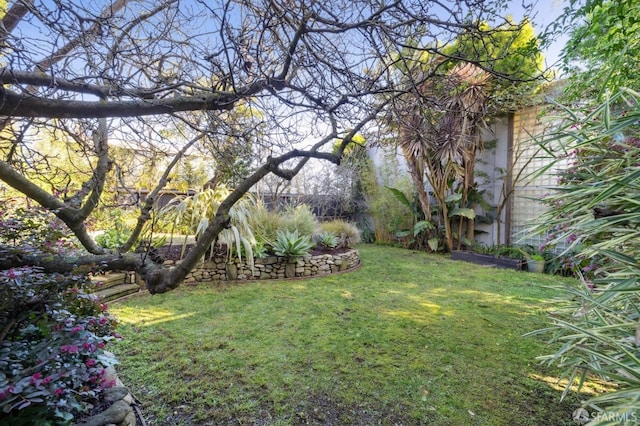 view of yard