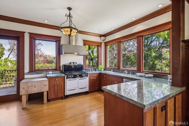 4020 20th St, San Francisco, CA 94114 - kitchen featuring double oven range, brown cabinets, light wood-type flooring, crown molding, and hanging light fixtures