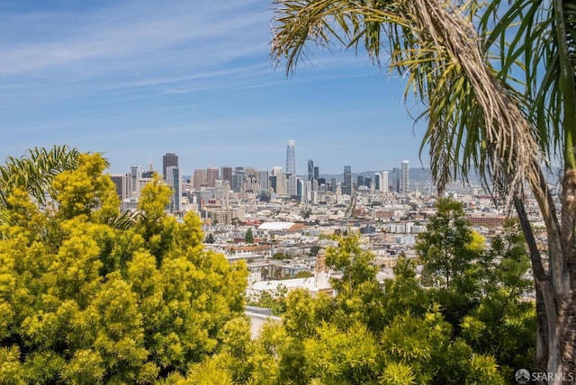 4020 20th St, San Francisco, CA 94114 - view of city