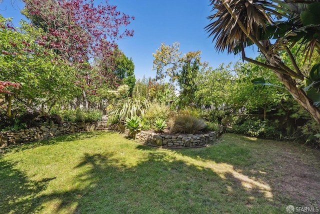 4020 20th St, San Francisco, CA 94114 - view of green lawn