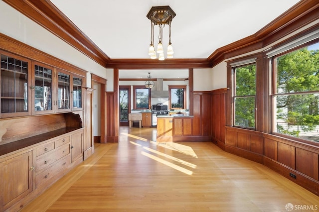 unfurnished office with a notable chandelier, wainscoting, light wood-type flooring, and ornamental molding