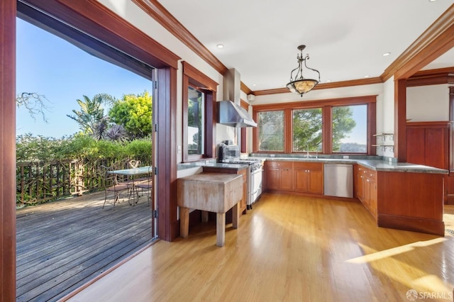 kitchen featuring light wood-type flooring, ornamental molding, island exhaust hood, stainless steel dishwasher, and gas range